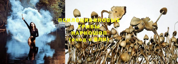 a pvp Зерноград